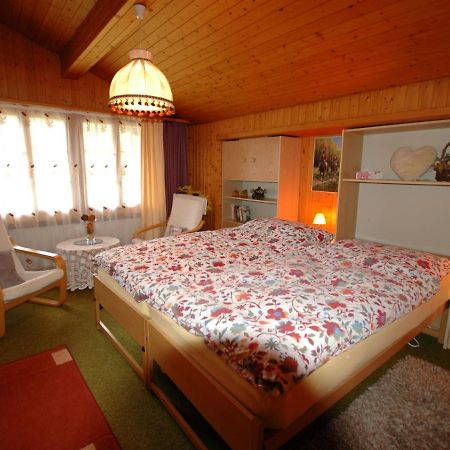 Pristine Home In A Charming Village Large Grassy Sunbathing Area View Of The M Nch And Jungfrau Wilderswil Exteriör bild