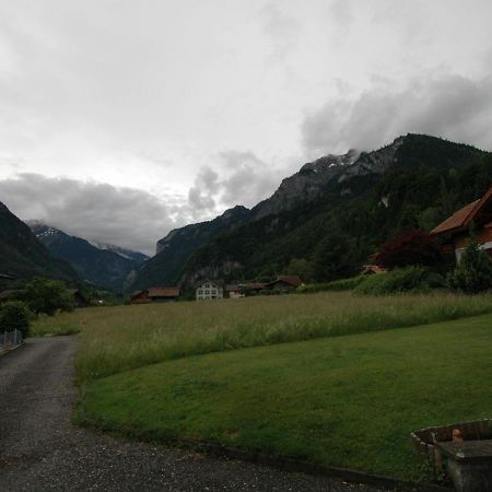 Pristine Home In A Charming Village Large Grassy Sunbathing Area View Of The M Nch And Jungfrau Wilderswil Exteriör bild