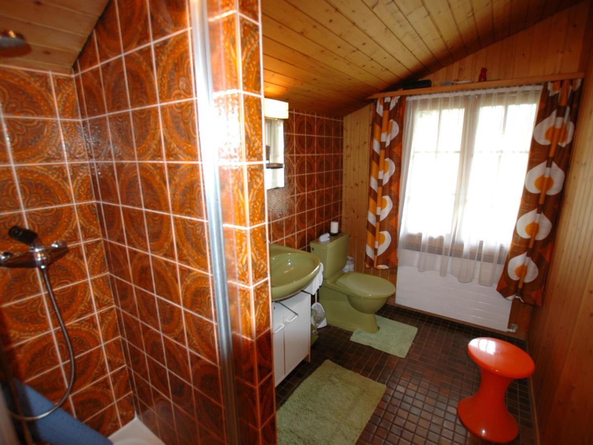 Pristine Home In A Charming Village Large Grassy Sunbathing Area View Of The M Nch And Jungfrau Wilderswil Exteriör bild