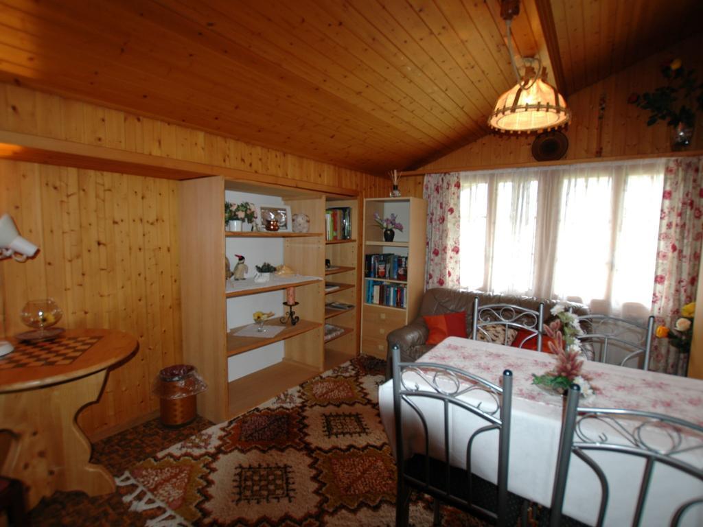 Pristine Home In A Charming Village Large Grassy Sunbathing Area View Of The M Nch And Jungfrau Wilderswil Exteriör bild